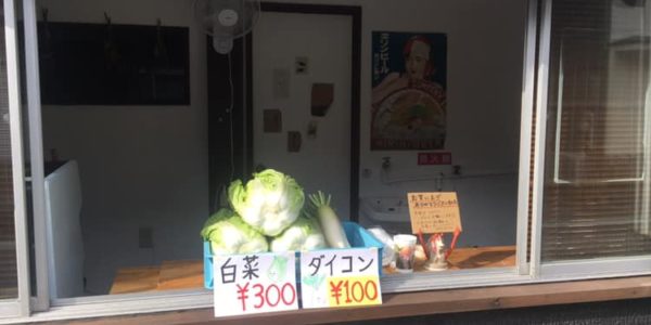 野菜販売始めました。