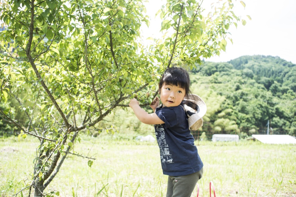 今週のひととまる(6月2日〜6月8日) 本と寝床、ひととまる|兵庫県豊岡市竹野町のゲストハウス